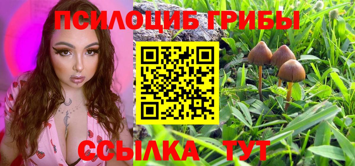 как найти закладки  Галлюциногенные грибы MAGIC MUSHROOMS  Вход с VPN  Воркута 