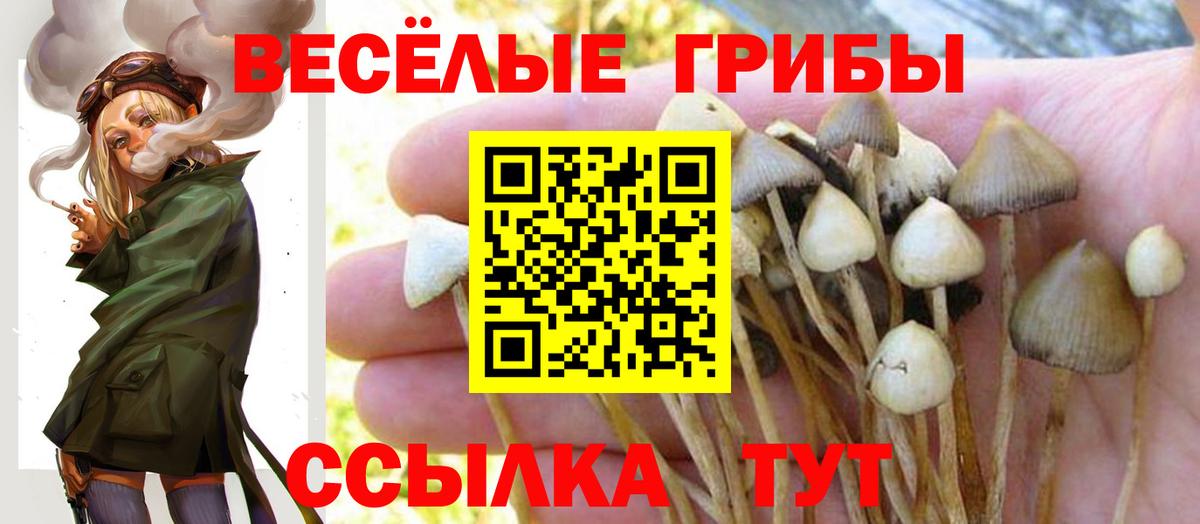 Галлюциногенные грибы прущие грибы Воркута